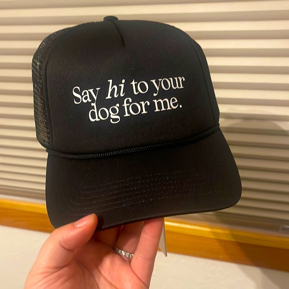 NWT snap back hat